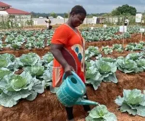 Public Accounts Committee demands legal action over GH¢1.3m Health Ministry procurement breach