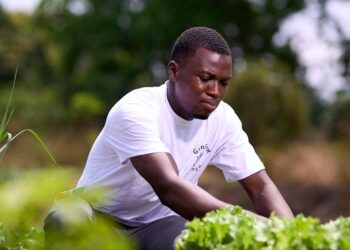 GanaFert Ltd: Powering Greener Farms with Organic Innovation
