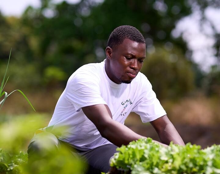 GanaFert Ltd: Powering Greener Farms with Organic Innovation