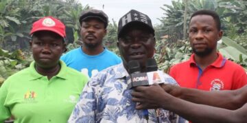 Asutifi South Assembly, chiefs destroy criminal hideout in Hwidiem