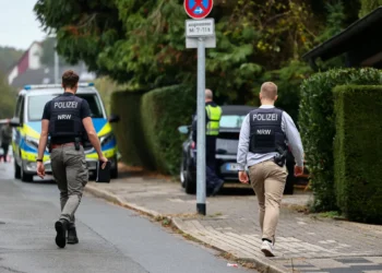 German mayor critically injured in stabbing attack, police say