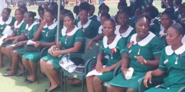 Health Ministry Opens Recruitment for Ghanaian Nurses to Work in Grenada