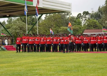 Kenya: Guard stabbed to death raises massive criticism on Presidency's security
