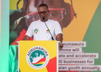 NEIP Onboards First Cohort of Adwumawura Entrepreneurs