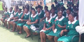 Unpaid Nurses and Midwives Demand Swift Action Despite Minister’s Salary Assurance