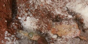 Abesim residents in shock as buried pig and salt discovered at church site