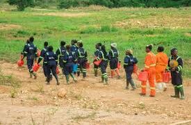 Over 1,000 Acres of Galamsey-Degraded Land Reclaimed in Upper Denkyira East