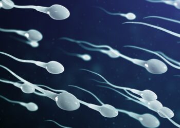 Science Challenges “Aging Eggs” Narrative: Study Shows Men’s Sperm Declines With Age
