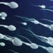 Science Challenges “Aging Eggs” Narrative: Study Shows Men’s Sperm Declines With Age