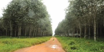 2026 Budget: Government Earmarks GH¢828m for 1,000km of Agricultural Enclave Roads