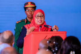 Tanzania President express worry over nation's battered image; funding challenges ahead