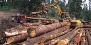 Government inaugurates National Timber Monitoring Team to curb illegal logging