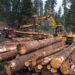 Government inaugurates National Timber Monitoring Team to curb illegal logging