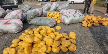 Volta Regional Health Directorate clarifies arrest of driver over alleged narcotic possession