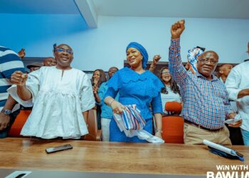 Bawumia urges NPP members to unite ahead of 2028 elections