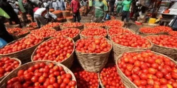 Ghana to engage Burkina Faso over tomato export suspension - Ministry of Trade