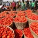 Ghana to engage Burkina Faso over tomato export suspension - Ministry of Trade
