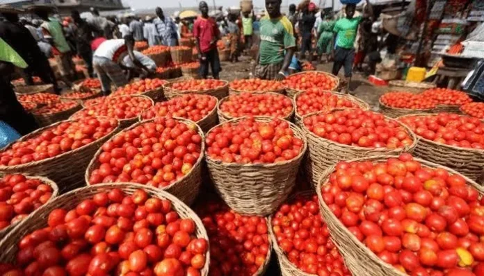 Ghana to engage Burkina Faso over tomato export suspension - Ministry of Trade