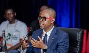 Telecel Cash MD calls for an interoperable data pool to expand credit access