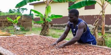 Fairtrade Africa Convenes Industry for Change Day 2026