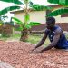 Fairtrade Africa Convenes Industry for Change Day 2026