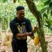 When Cocoa prices fall, farmers shouldn’t have to bear the cost