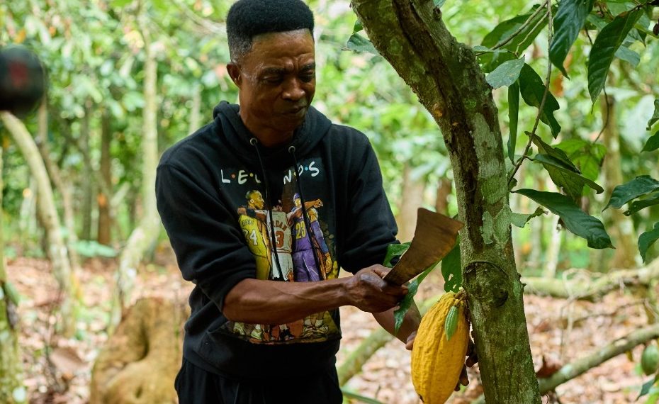 When Cocoa prices fall, farmers shouldn’t have to bear the cost